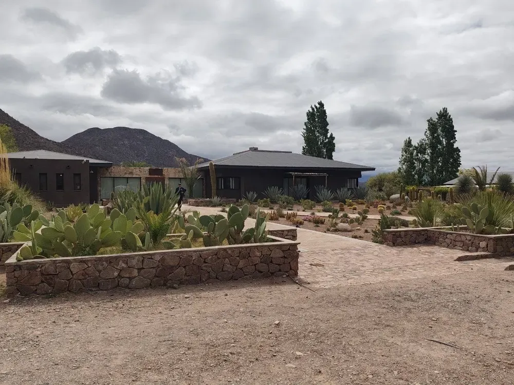 Edificio de piedra y madera rodeado de un jardín de cactus y agaves en la bodega