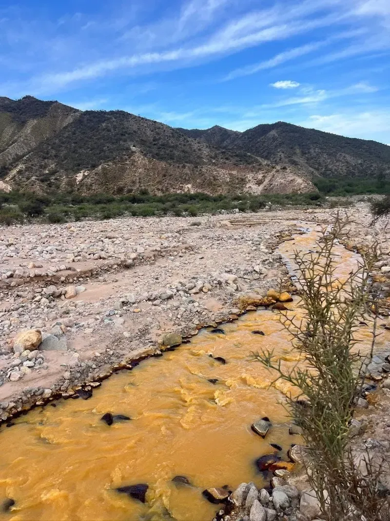 Primer plano del río de agua naranja con piedras oscuras y una rama espinosa