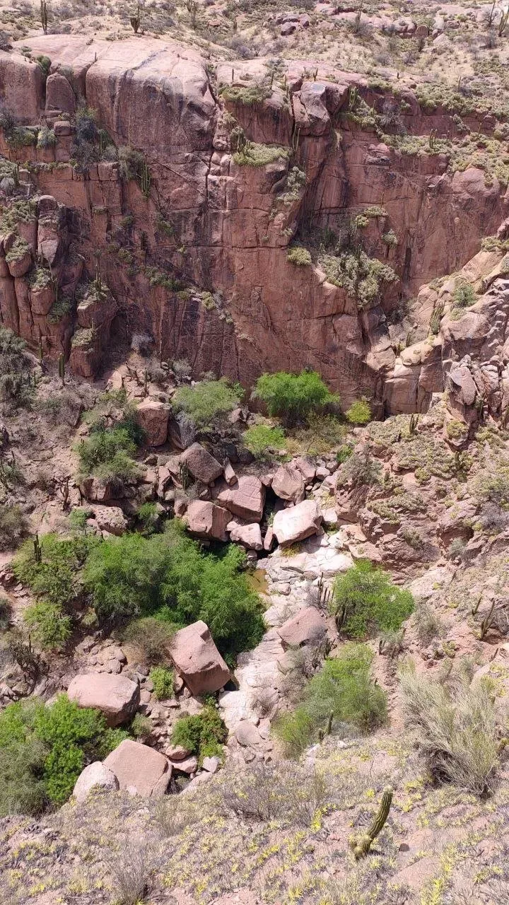 Pared de roca rosada y arbustos al fondo de la quebrada, vista desde arriba