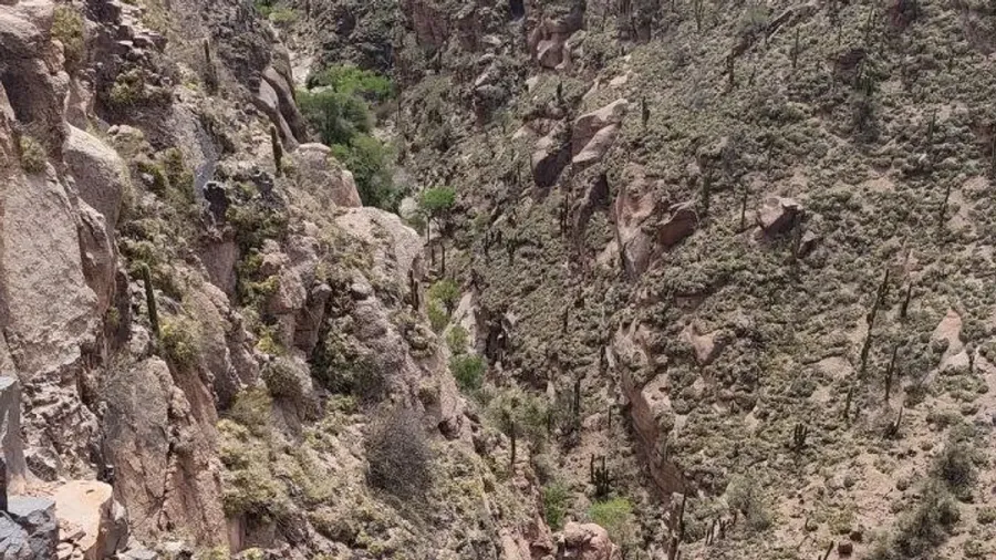 Pared de roca rosada y vegetación en la quebrada de la Cola de la Novia vista desde arriba