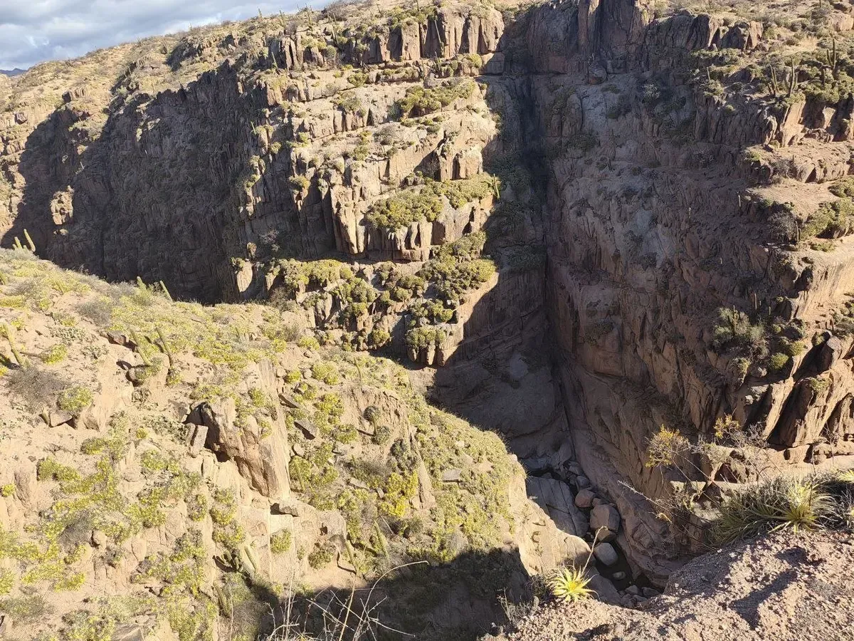 Vista desde arriba de la quebrada de Hualco, con sus paredes de roca y vegetación seca
