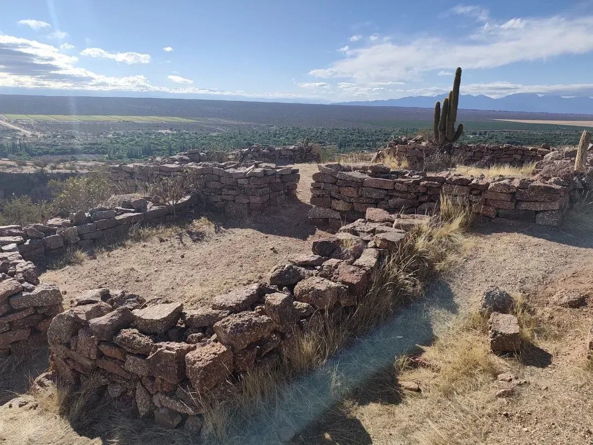 Recintos de piedra en la parte alta de Hualco, con un cardón y el valle al fondo