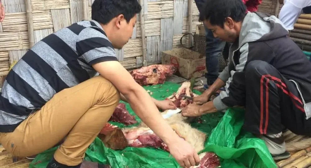 Sacrificio de animales en la aldea