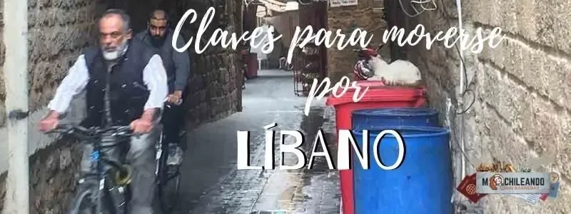 Calle estrecha de un zoco con un gato sobre un contenedor, bajo el texto «Claves para moverse por Líbano»