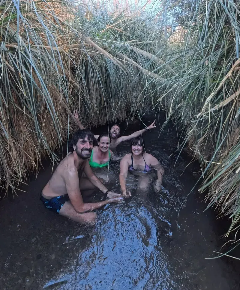 Cuatro viajeros dentro de un pozón de agua rodeado de juncos y hierbas altas