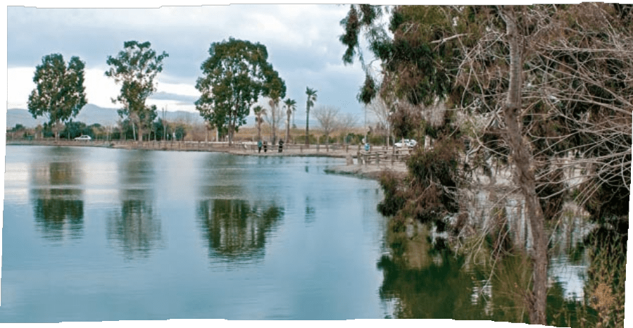 Paraje natural de L'Estany (Nules, Castellón)