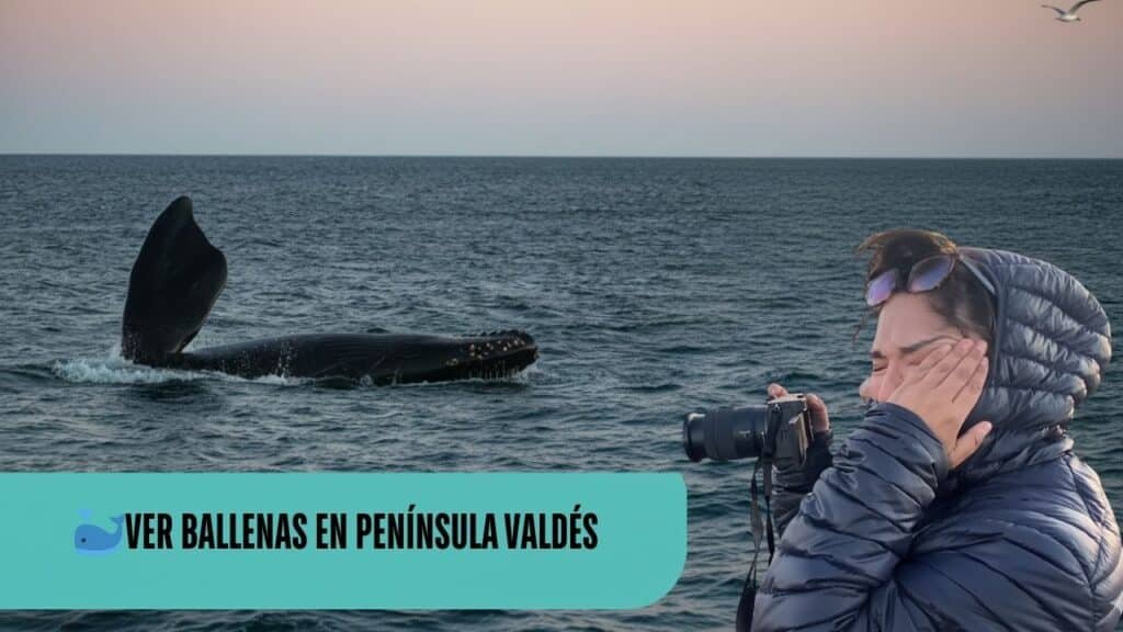 Ballena franca austral mostrando la cola en el mar durante avistamiento de ballenas en Península Valdés, Argentina