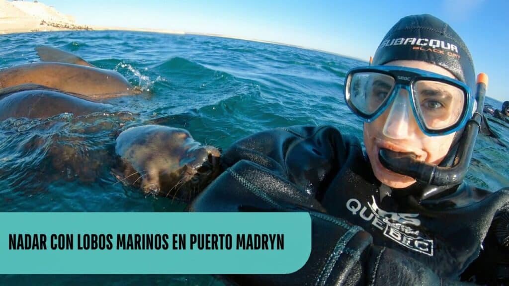 Cris Nadando con lobos marinos en Puerto Madryn durante una excursión de snorkel en la Patagonia