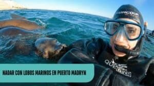 Cris Nadando con lobos marinos en Puerto Madryn durante una excursión de snorkel en la Patagonia
