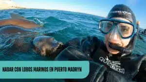 Cris Nadando con lobos marinos en Puerto Madryn durante una excursión de snorkel en la Patagonia